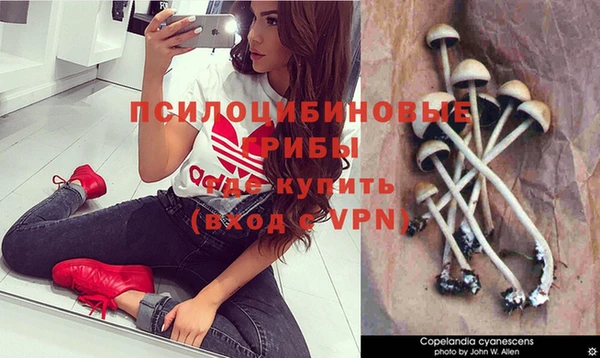 круглые Пересвет