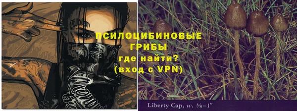 mix Алексеевка