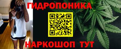 дживик Кингисепп