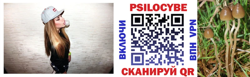 Галлюциногенные грибы Magic Shrooms  купить   Мыски 