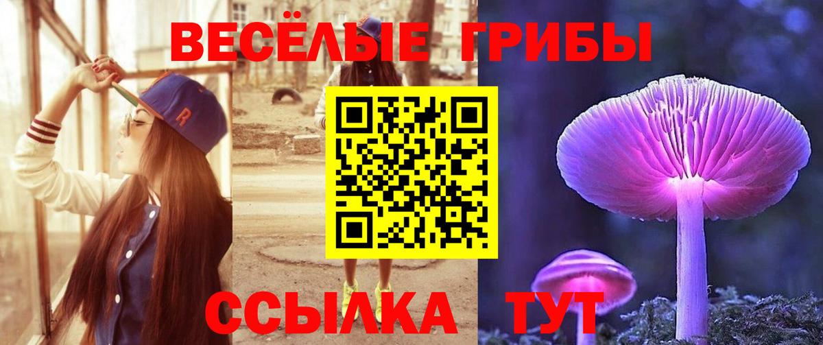 Галлюциногенные грибы прущие грибы Мыски