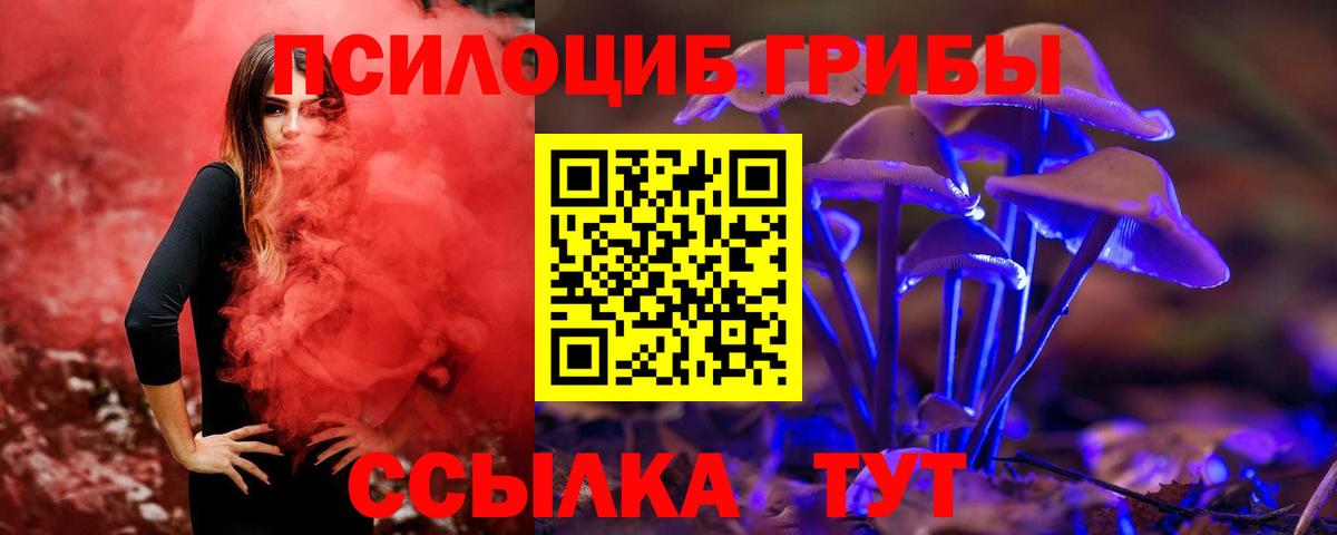 Галлюциногенные грибы MAGIC MUSHROOMS  Вход с VPN  Мыски 
